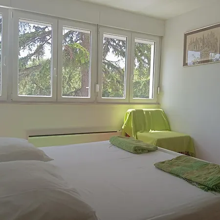 Apartment Calluna Split