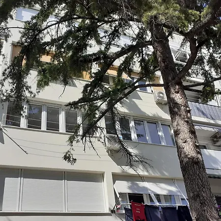 Apartament Calluna *